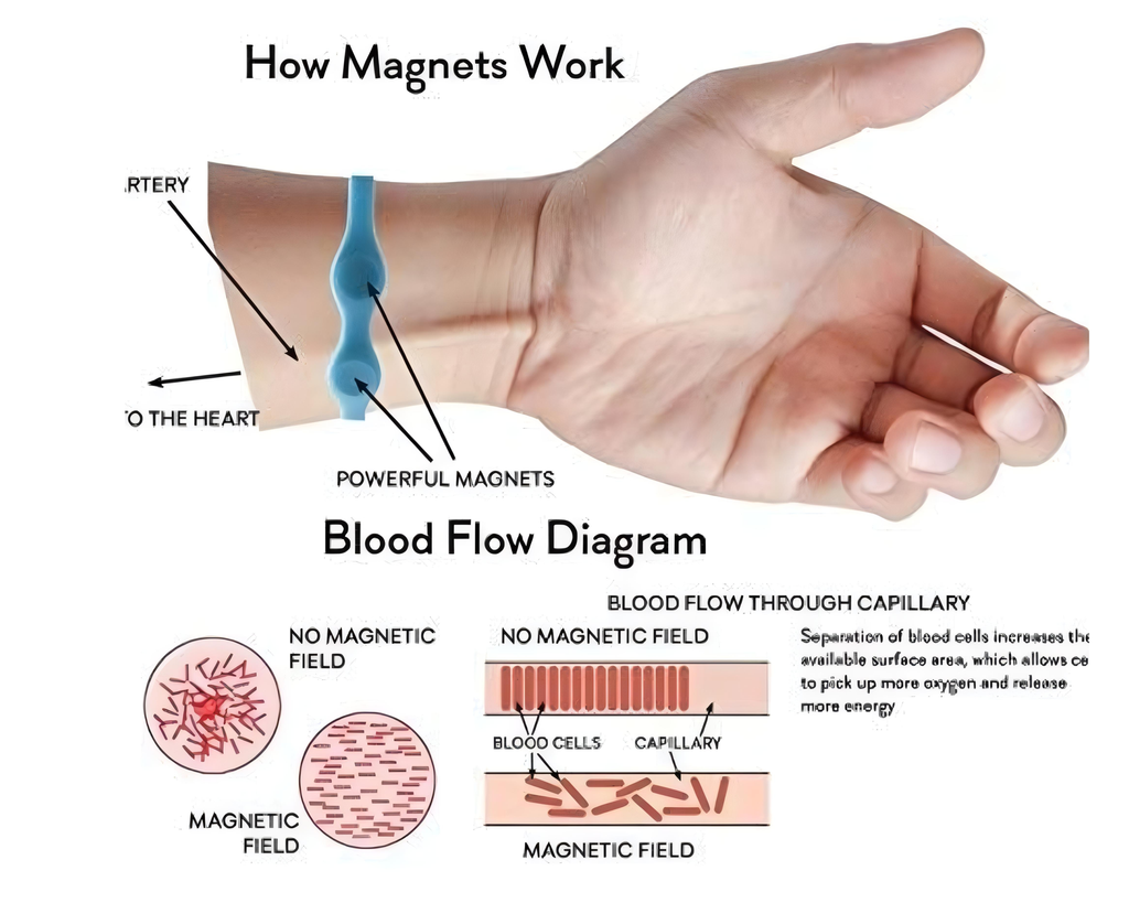 Magnetic Ring Blood Pressure Controller Bracelet Body Pain Relief for Men/ Women Pack of 1